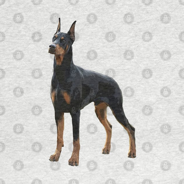 Doberman Pinscher Dog by ElegantCat